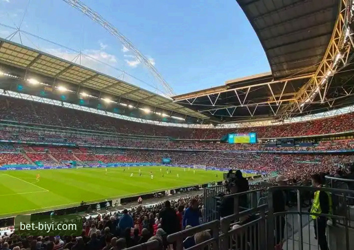 意大利出局之夜：必一体育官方网站手机版观赛体验深度评测